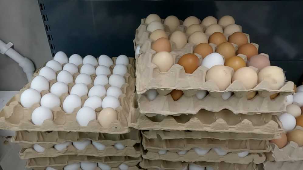 Такого не ожидал никто: на полках магазинов появятся искусственные яйца