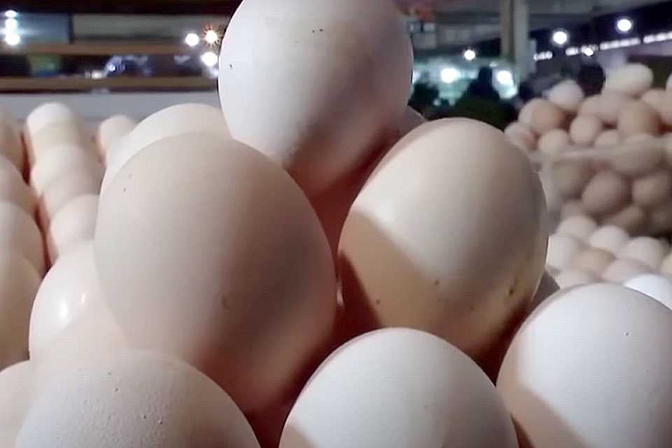Стоимость яиц вышла из пике: названы новые цены