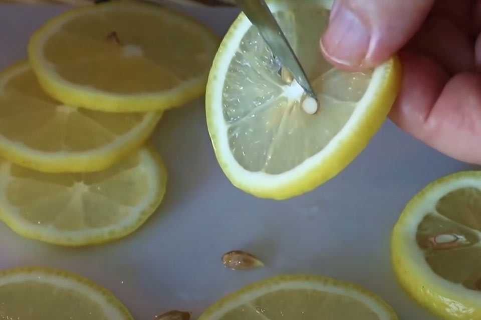 Эксперт рассказал зачем замораживать дома лимоны: невероятные изменения фрукта