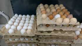 Сокрушительный удар по яйцам: власти сделали 6 жестких шагов