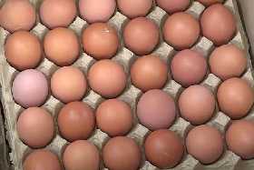 Когда подешевеют яйца: власти назвали настоящие сроки