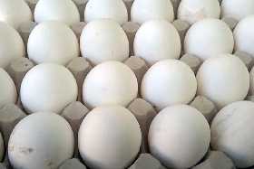 Дождались: стало известно, когда упадут цены на яйца