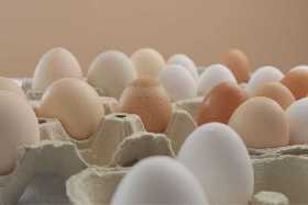 Поступила новая партия яиц из Азербайджана: они по-настоящему удивят