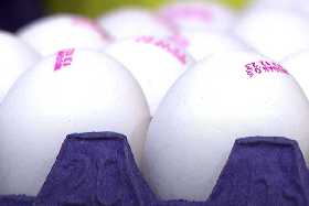 Птицефабрика выступила с заявлением: массовые продажи яиц в магазинах под запретом