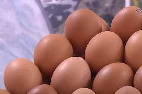 В магазинах появятся искусственные яйца: они по-настоящему удивят