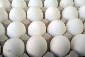 Магазины рвут цены на яйца: такого еще не было