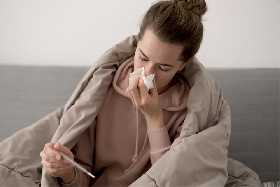 Опытный врач назвал 4 эффективных растения против гриппа и простуды: мощная помощь при температуре