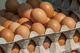 На полках магазинов появились турецкие яйца: они по-настоящему изумят