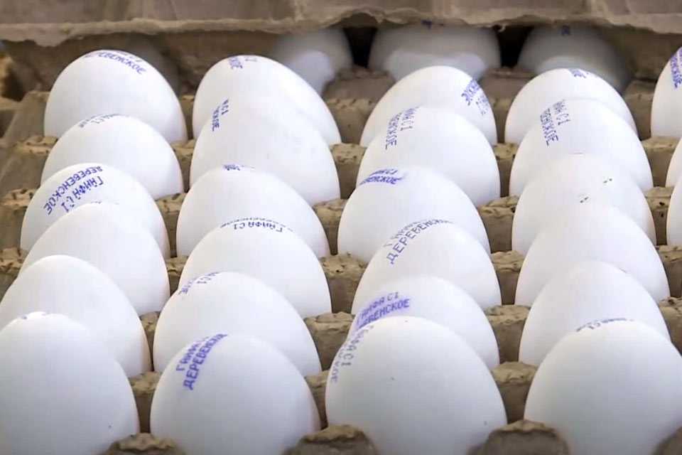 Приняты новые меры для снижения цен на яйца: такого от чиновников не ожидали