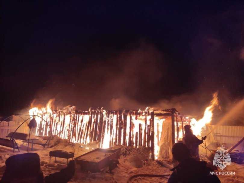 В Башкирии в огне пожара погибли корова и четыре теленка