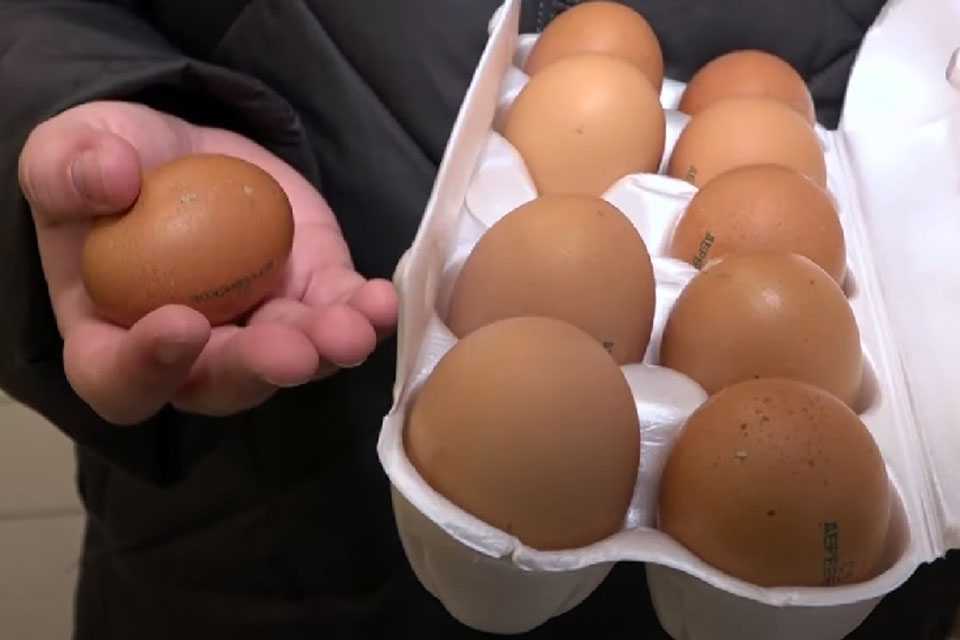 Яйца начали продавать поштучно: известны новые цены