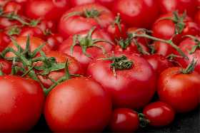 Секрет дачников: эти семена помидоров дадут вам ведра вкусных томатов без особых усилий