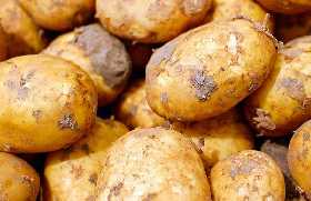 Сытно и быстро: завтрак из картошки за 10 минут