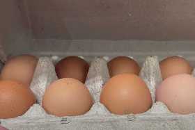 У покупателей в глазах настоящее удивление от цен на яйца: такого не ожидали