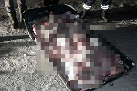 Жестокая расправа: браконьеры убили трех косуль в Давлекановском районе Башкирии