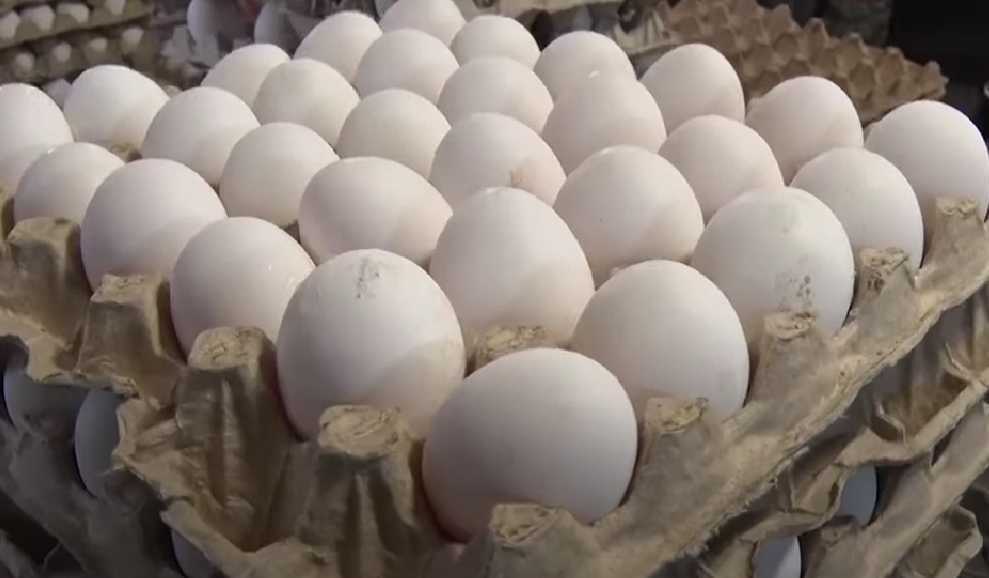 Новый тренд в магазинах: теперь яйца можно покупать поштучно всего за 9 рублей