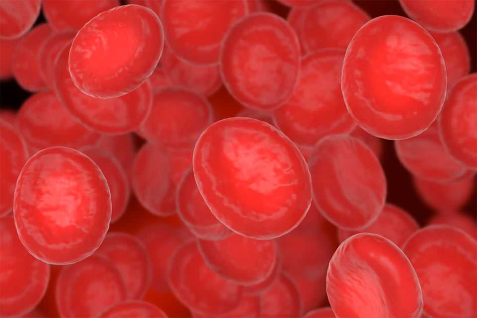 Неожиданная связь: как тромбы могут указывать на онкозаболевания