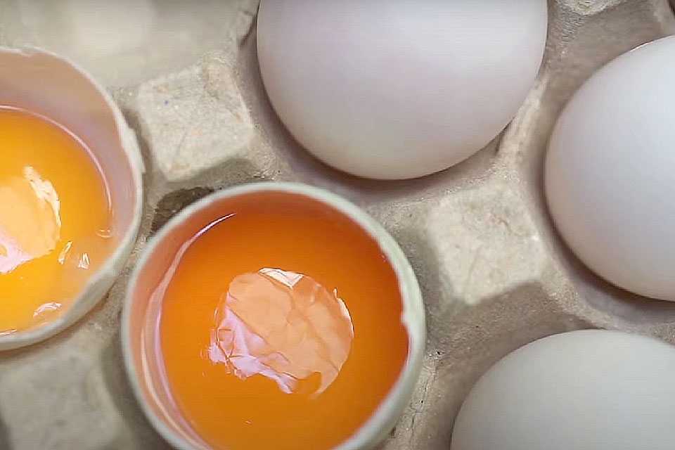 Обнаружены опасные яйца: они попали в столовую для дошколят, будьте осторожны