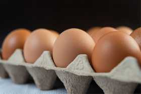 Новый тренд в магазинах: теперь яйца можно покупать поштучно всего за 9 рублей