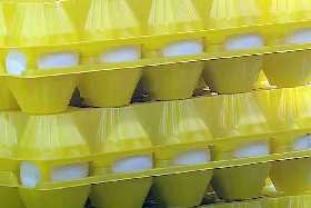 В крупных магазинах рухнули цены на яйца: новые цифры по-настоящему удивят