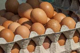 Обнаружены опасные яйца: они попали в столовую для дошколят, будьте осторожны
