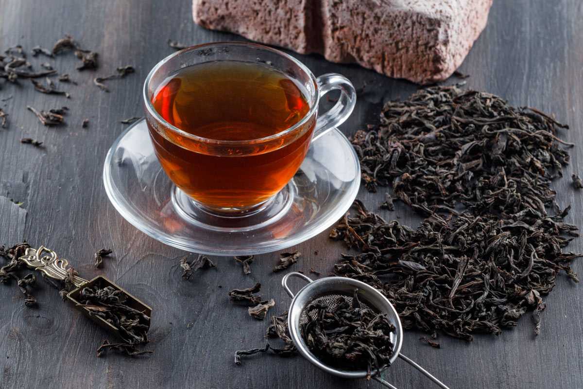 Назван напиток, снимающий стресс и активизирующий мозг — всё дело в уникальном методе обработки такого чая