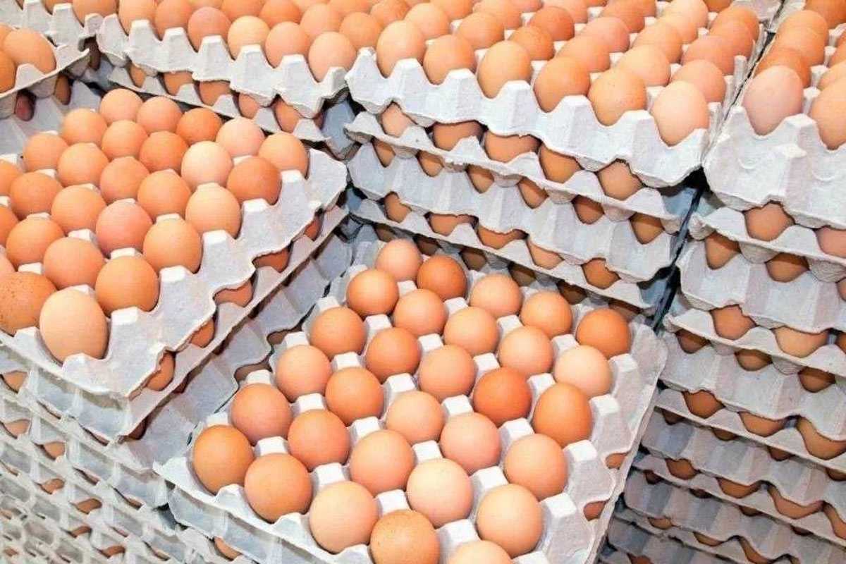 В магазинах изменились цены на яйца: новые цены удивят
