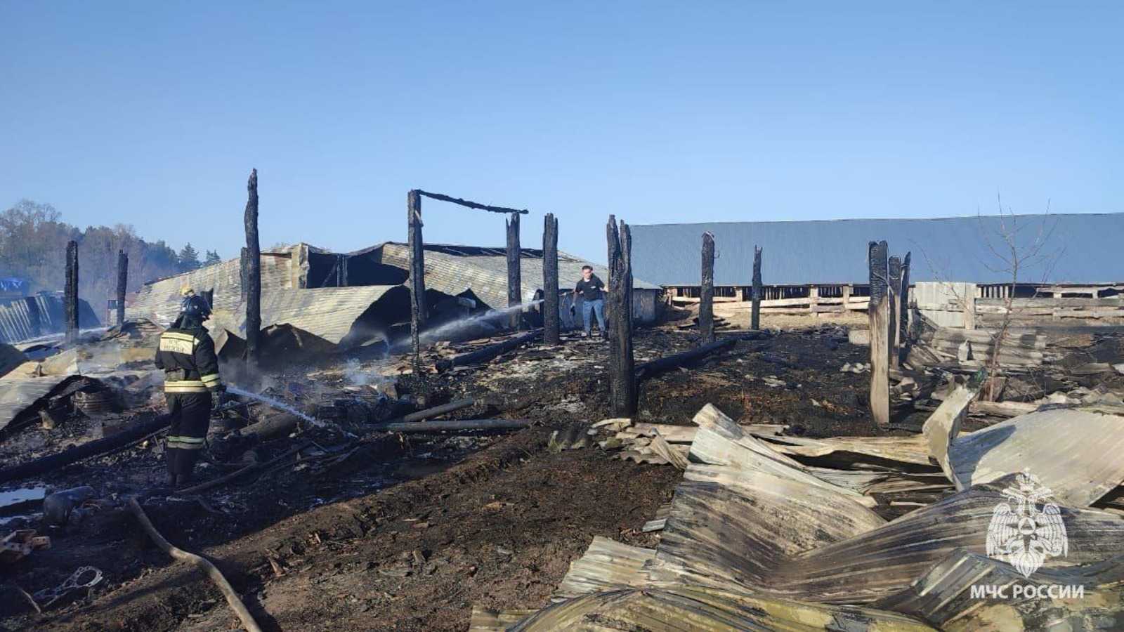 В Башкирии у фермера заживо сгорели 138 животных