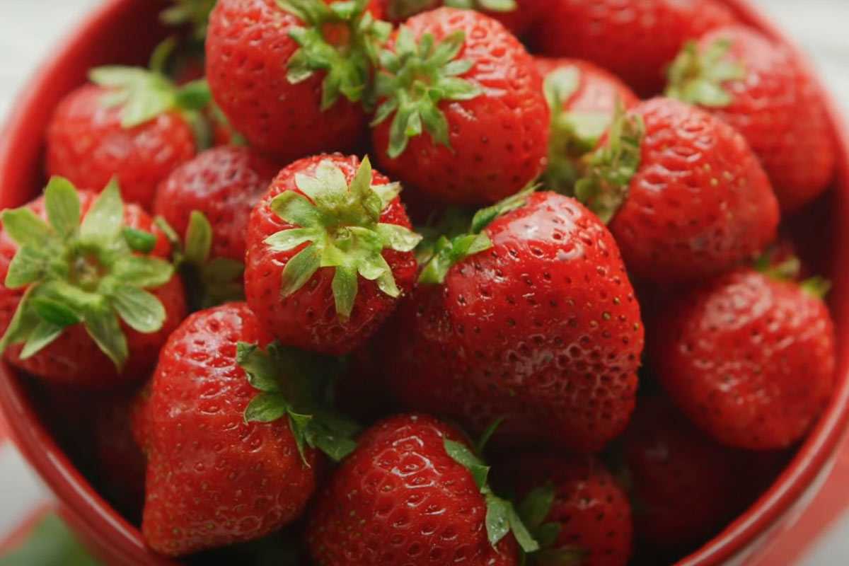 Чудо-подкормка для клубники: +500% к урожаю, сладкие ягоды размером с кулак без вредителей