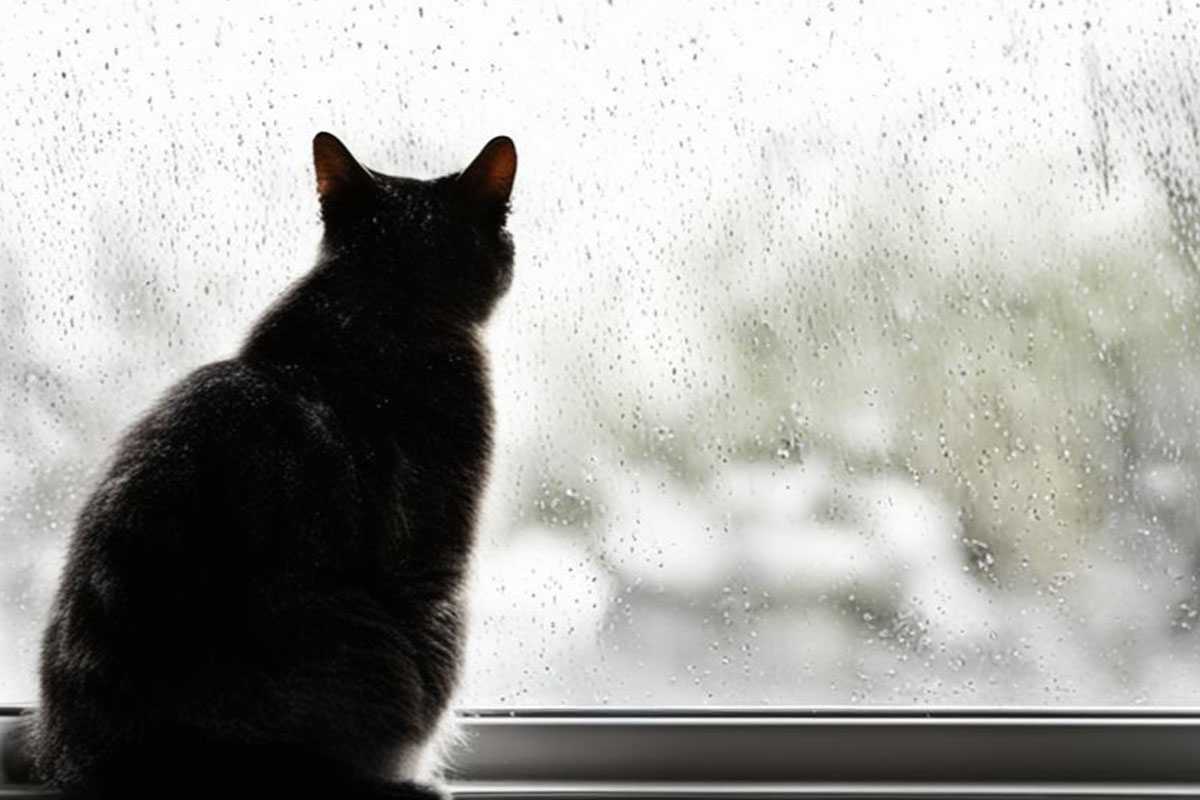 На Башкирию надвигается холодный фронт