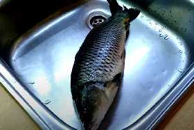 Всего 3 ингредиента и 1 ночь в холодильнике: Рыбацкий метод засолки красной рыбы за копейки