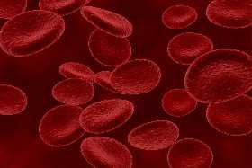 Как понять без анализов, густая ли у вас кровь: врач назвал сигналы-предвестники тромбоза