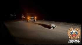 В Башкирии легковушка на бешеной скорости сбила девочку на «зебре»