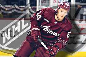 «Уфимский «Салават Юлаев» присматривается к словацкому защитнику из «Аризоны Койотс»