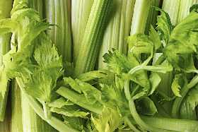 Суперзелень от рака: специалист назвала овощ, который нужно включить в рацион для профилактики смертельного заболевания