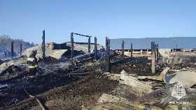 В Башкирии у фермера заживо сгорели 138 животных