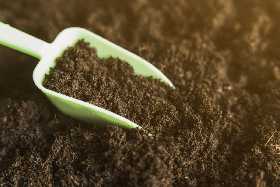 Как улучшить глинистую почву: агроном назвала растения глиноломы – компоста и перекопки больше не потребуется
