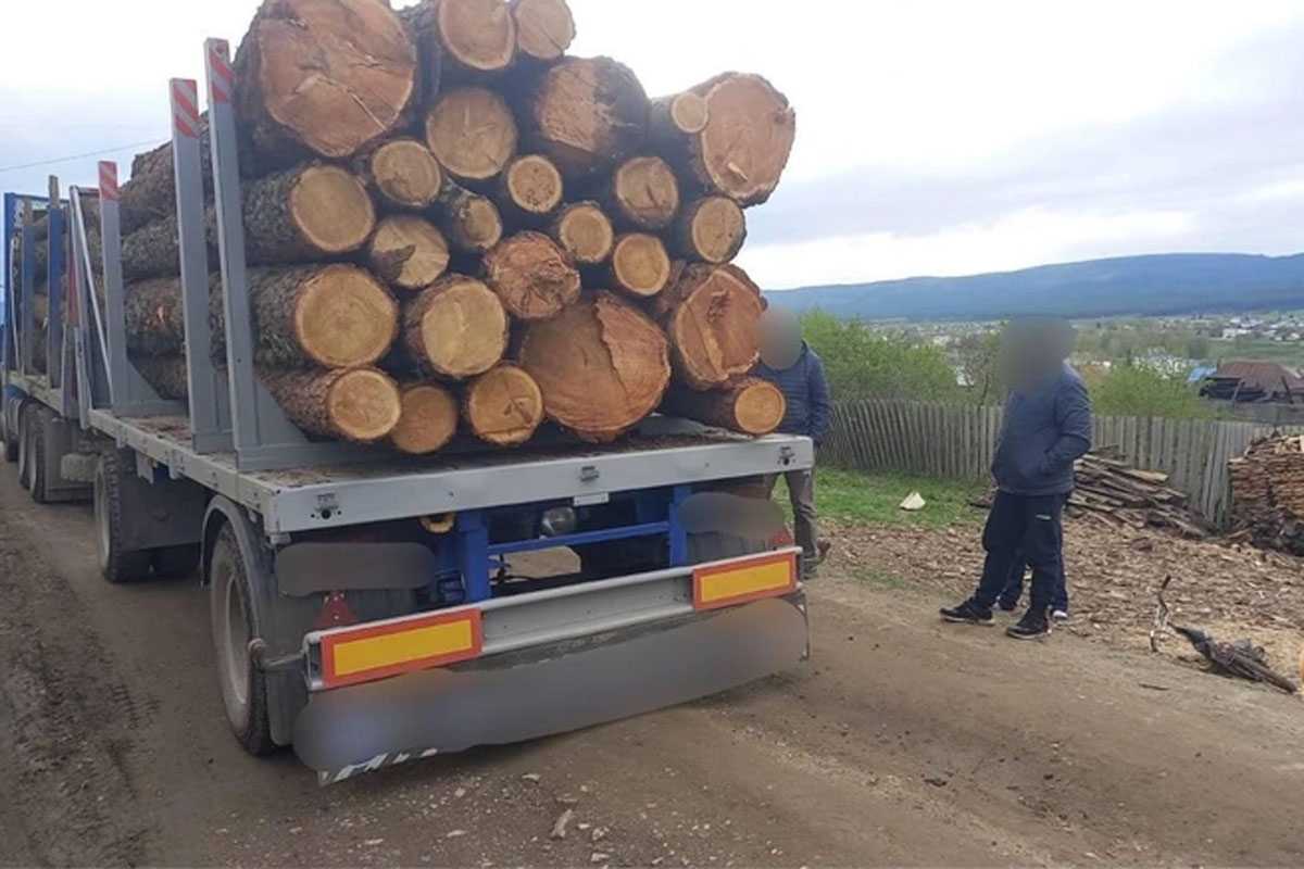 В Белорецком районе Башкирии грузовик насмерть задавил ребенка