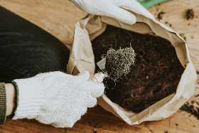 «Бетонная» почва станет черноземом: натуральная смесь, которая заставит огород плодоносить как никогда раньше