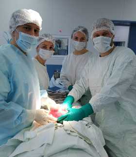 В Башкирии врачи обнаружили панцирь мидии в пищеводе 46-летнего мужчины