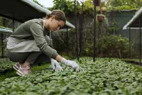Польза смешанных грядок: Названы идеальные «соседи» в огороде — улучшают плодородность и отпугивают вредителей