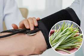 Очистит сосуды и снизит давление: доктор Чернявская назвала лучший овощ для спасения от гипертонии — кладезь здоровья