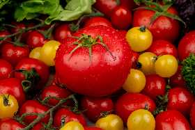 С какой высоты томаты нуждаются в подвязке? - рекомендации агронома Дениса Терентьева