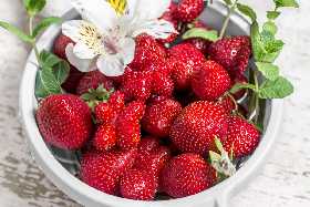 У кого-то клубника будет только цвести, а ваша уже даст первый урожай: полейте ее этим «снадобьем» – ягоды получите уже в мае