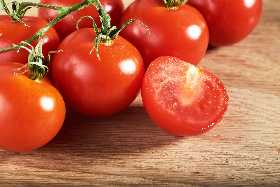 Удивите соседей урожаем: простой рецепт бесплатного удобрения для томатов из обычной травы