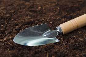 Почва плотная, овощи болеют и плохо растут: агроном Давыдова рассказала, как заменить истощенную землю в теплице — достаточно снять 30 см