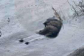 В Следкоме Башкирии прокомментировали информацию о найденном в воде теле мальчика