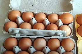 Такие для завтрака не сгодятся: вот как выбрать самые свежие куриные яйца в магазине — 3 критерия от известного телеведущего