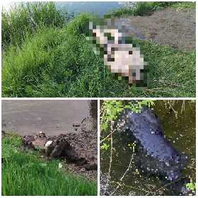 В Башкирии мужчина ночью отправился на реку и утонул