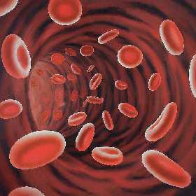 Кровоток будет работать как часы: вот, какие продукты нужны при густой крови — названы натуральные антикоагулянты